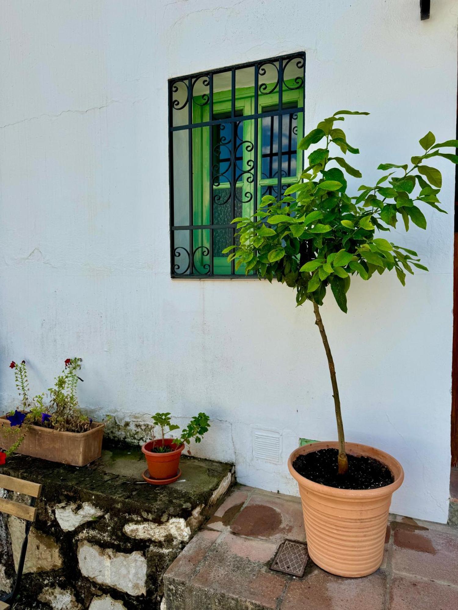 Casa Leon Montejaque Exterior foto